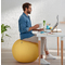 LEITZ Ballon d'assise Ergo Cosy, diamtre: 650 mm, gris