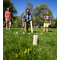 SCHILDKRT Jeu d'checs sudois Kubb, en pin