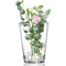 Ritzenhoff & Breker Vase DIANA, transparent