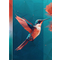 RNK Verlag Carnet de notes "Colibri", A5, 96 feuilles