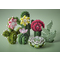 Hama Perles  repasser midi Art "Succulentes", coffret