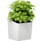 tesa KITCHEN Pot pour herbes aromatiques, blanc