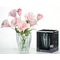 Ritzenhoff & Breker Vase FLORA, transparent