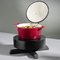 APS Induktionsstation BONFIRE, 900 Watt, inkl. Fernbedienung