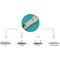 DIGITUS Mini-GBIC SFP cuivre, 10 Gbps, RJ45