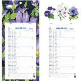 EXACOMPTA calendrier mural, 2025, 130 x 230 mm, fond Fleurs