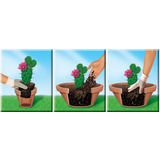 COMPO cactea Terreau pour cactus et succulentes, 5 litres