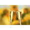 STARPAK Flte  champagne en plastique, 0,1 l, transparent
