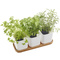 orthex Pot  herbes aromatiques EDEN, set de 3, blanc