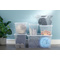 Plast team Bote de rangement BASIC BOX, 9,0 litres