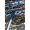Garten PRIMUS Coupe-branches PowerStick, longueur: 750 mm