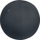 LEITZ ballon d'assise ergo Active, diamtre: 650 mm, gris
