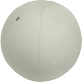 LEITZ ballon d'assise ergo Active, diamtre: 750 mm, gris