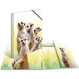 HERMA chemise  lastiques animaux exotiques, A4, suricates