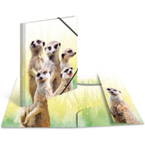 HERMA chemise  lastiques animaux exotiques, A3, suricates