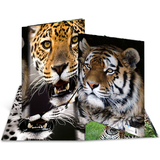 HERMA chemise  lastique "Leopard", transparent, en PP,