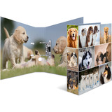 HERMA classeur  levier  motifs "Animals", A4, chiens