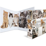HERMA classeur  levier  motifs "Animals", A4, chats