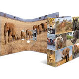 HERMA classeur  levier "Animals", A4, animaux d'Afrique