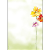 sigel papier  motif, A4, 90 g/m2, motif "Spring Flowers"
