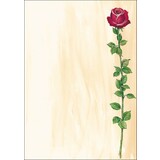 sigel papier  motif, A4, 90 g/m2, motif "Rose Bloom"