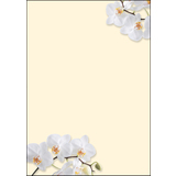 sigel papier  motif, A4, 90 g/m2, motif "White Orchid"