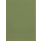 ELBA couverture pour dossiers, A4, carton manille, vert