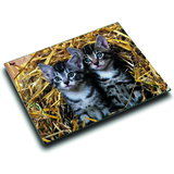 Lufer sous-main "chats dans les pailles", 400 x 530 mm