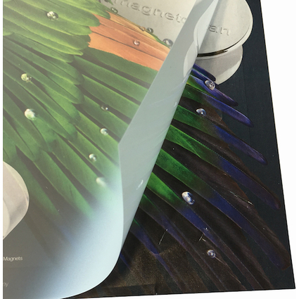 magnetoplan Kit film de rechange pour chevalet publicitaire