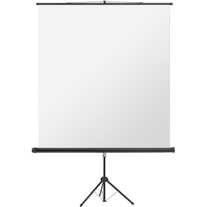 magnetoplan Ecran de projection sur trpied, 2.000 x 2.000mm