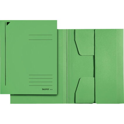 LEITZ chemise-trieur, format A3, carton 320 g/m2, vert