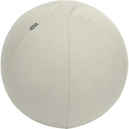 LEITZ Ballon d'assise Ergo Active, diamtre: 550 mm, gris