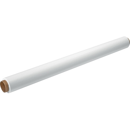 LEITZ Rouleau PP EasyFlip Foil, (L)20 m x (l)600 mm, uni