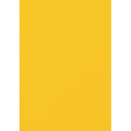 MAUL Plaquette magntique, (L)200 x (H)300 mm, jaune
