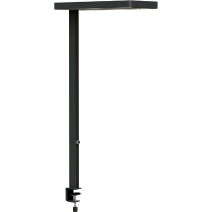 MAUL Lampadaire de bureau  LED MAULjuvis sensor, pince