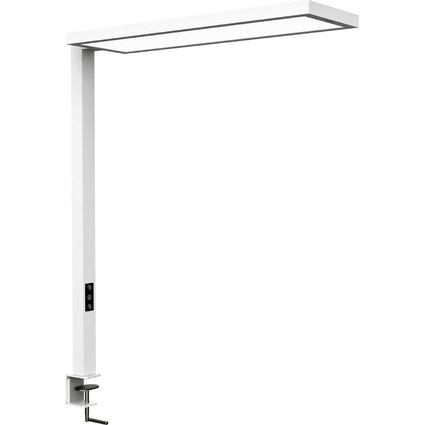 MAUL Lampe de bureau  LED MAULsenja, variateur, blanc