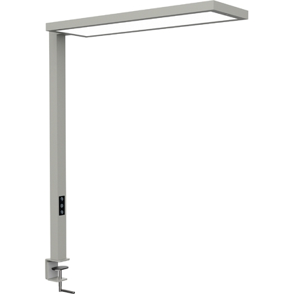 MAUL Lampe de bureau  LED MAULsenja, variateur, argent