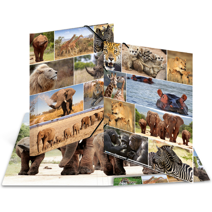 HERMA Chemise  lastiques "animaux d'Afrique", carton, A3
