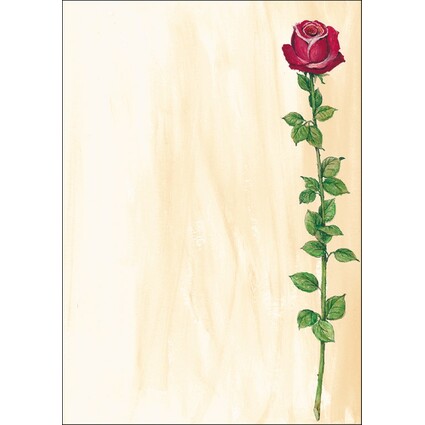 sigel Papier  motif, A4, 90 g/m2, motif "Rose Bloom"