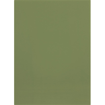 ELBA couverture pour dossiers, A4, carton manille, vert