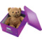 LEITZ Bote de rangement Click & Store WOW, A4, violet