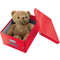 LEITZ Bote de rangement Click & Store WOW Cube L, rouge
