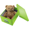 LEITZ Bote de rangement Click & Store WOW Cube L, vert
