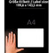 AVERY Zweckform Etiquette d'expdition, 99,1x143,5 mm, blanc