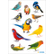 HERMA Sticker DECOR "Oiseaux", en papier
