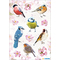HERMA Sticker DECOR "Oiseaux de chez nous"