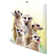 HERMA Chemise  lastiques Animaux exotiques, A4, suricates