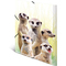 HERMA Chemise  lastiques Animaux exotiques, A3, suricates