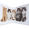 HERMA Classeur  levier  motifs "Animals", A4, chats