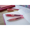 STABILO Stylo plume EASYbuddy A, droitiers, rouge